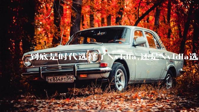 到底是时代选择了Nvidia,还是Nvidia选择了时代？