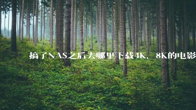 搞了NAS之后去哪里下载4K，8K的电影？