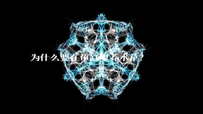 为什么要在鱼缸里养水草？