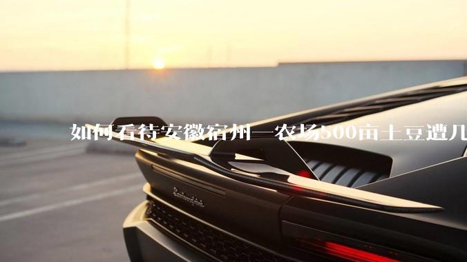 如何看待安徽宿州一农场500亩土豆遭几百名村民哄抢，曝光后民警要求种植户删帖？法不责众？如何有效维权？