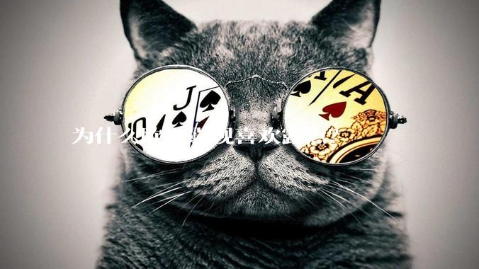 为什么欧美影视喜欢露点？