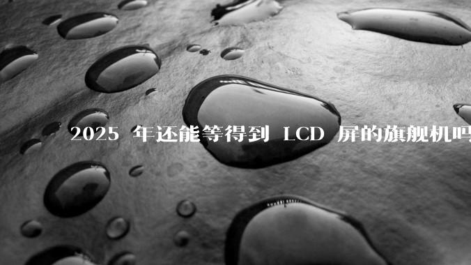 2025 年还能等得到 LCD 屏的旗舰机吗？